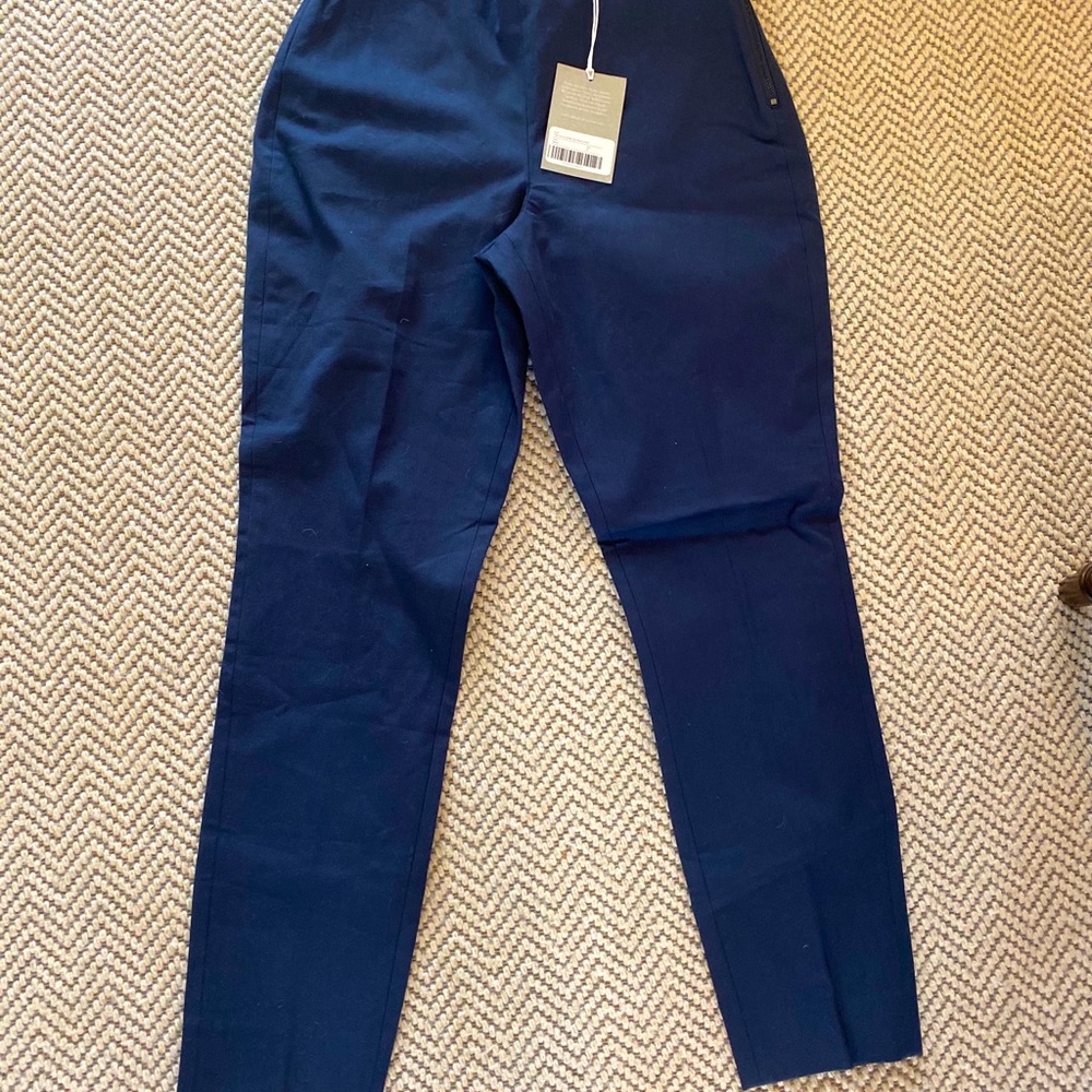 Everlane Curvy Side Zip Work Pants